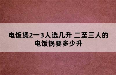 电饭煲2一3人选几升 二至三人的电饭锅要多少升